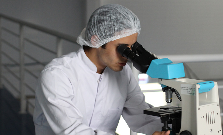 扩大生产规模与产品线